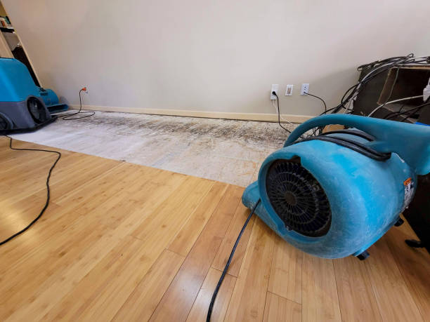 Professional Burst Pipe Water Damage technician working in La Crescent, MN